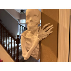 3D-printede skelet