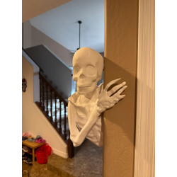 3D-printede skelet