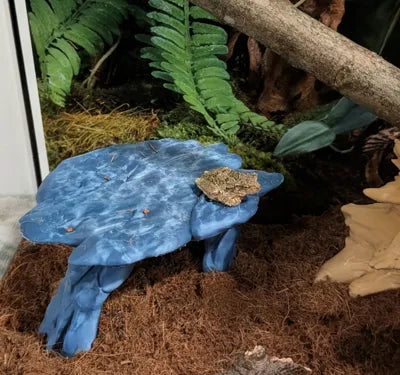 Platform Rock til Akvarie – Stabil & Dekorativ (2 størrelser, flere farver)