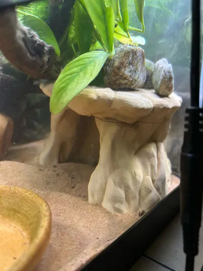 Platform Rock til Akvarie – Stabil & Dekorativ (2 størrelser, flere farver)