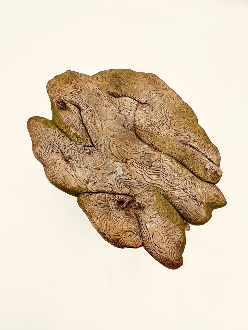 Platform Rock til Akvarie – Stabil & Dekorativ (2 størrelser, flere farver)